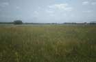 Teren agricol intravilan de 500 mp, în Tărlungeni