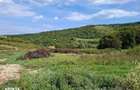 Teren intravilan 1200mp, Valea Garboului, Floresti