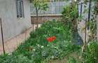 Casă cu Teren 607 Mp în Limanu - 5