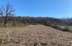 Teren de vanzare 11.000 mp, acces asfaltat - 2