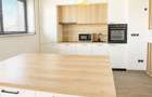 Penthouse Exclusiv Silver Mountain | 365 mp | Vedere Partie Postavarul - 18