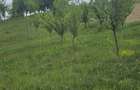Sala?+ livada+ teren agricol in Sichevi?a- Clisura Dunarii - 3