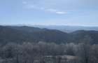 Teren extravilan ?erani Borod Bihor 2,5 ha - 4