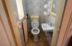 Apartament spatios cu 1 camera, 71 mp, in cladire istorica, pe malul r - 9