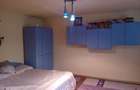Teren intravilan 68 Ari cu Casa 80 mp Viile Satu Mare - 6