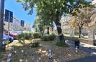 Bulevardul Victoriei - apartament 3 camere de vanzare curte garaj - 20