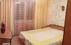 3 camere - Teiul Doamnei - Otesani - 2