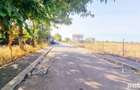 Teren intravilan Lacul Morii, Calea Giulesti, 515mp - 34.000 euro, Particular - 6