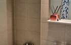 Apartament 2 Camere in zona Piata Delfinului - 5