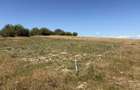 Teren intravilan pentru casa 500mp vedere panoramica Aleea Trifoiului