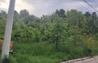 Teren de 4034 mp, în Văleni-Dâmbovița - 1
