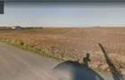 Teren Vama Veche 1,9ha (19.000m2) de la proprietar, strada asfaltata - 5