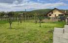 Vand sau schimb casa din 2017 in Predesti , Nicolae Balcescu, Valcea - 7