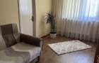 Apartament 2 camere Banat - 8