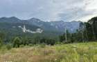 Teren 1000 mp & Proiect Duplex P+E, Sinaia - Zamora, Panorama Bucegi - 2