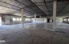 Hala industriala, 700 mp, zona Barabant - 4