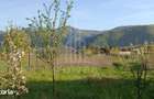 Teren Intravilan - Orlat jud. Sibiu - 3