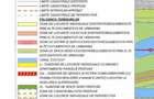 Teren Intravilan, 10000 mp, constructie case si blocuri, San - Sanandrei (Timis)