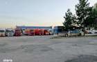 teren de inchiriat Baia Mare Margeanului - 1