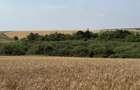 Teren intravilan Miersig, vedere la lac. 12,5 E/mp neg. Comision 0 - Miersig (Bihor) - 4