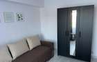 Apartament 1 camera, modelul mare, 42 mp, ETAJ 2, Nicolina BULEVARD - 3