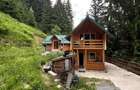 Chalet & A-Frame Rucar | Business Turistic Premium, 2107mp - 5