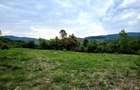 Teren Intravilan, utilitati in zona, 2600 mp, Draganeasa, Prahova - 2