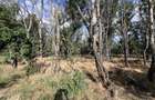 Teren intravilan, 4700 mp, dublu front stradal, la marginea Padurii Co - 6