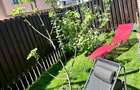 3 Camere cu Gradina de 48mp | 2 intrari | Parcare | BOXA | zona Safiru - 3