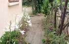 Casa batraneasca locuibila la 10 km de Tecuci cu 450 m2 teren. - 5