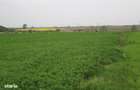Teren industrial Arad zona CET