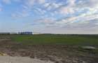 Teren 3 HA Clinceni ideal logistic / industrial |