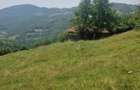 Teren intravilan de vanzare, 26.000 mp, Bulz, Bihor,Gaminvest,V4693 - 3