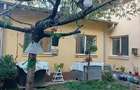 casa cu etaj si spatiu comercial liceul 1 mai