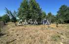 Casa 4 Camere, Parter, Runcu - Baltisoara - 19