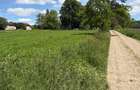 Teren intravilan in Mitoca?i 48000 euro - 7