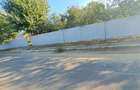 Galati Beresti - De vanzare 1 hectar plantatie de vita de vie si casa cu utilitati - 8