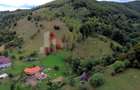 Teren de investiție în Moieciu, lângă Castelul Bran – 11.381 mp, vedere Bucegi