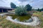 Casa de vanzare - Restaurant - lac - 13