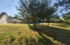 Proprietate exclusivista cu 7.000 mp teren, piscina si multiple spatii - 9