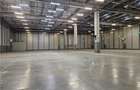 Spatii Industriale - 15000 mp - Logistica - Depozitare - Productie - 3