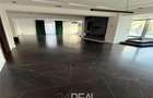 Inchiriere Penthouse - Laguna Residence cu view la Lacul Tei, 473 mp - 4