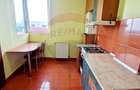 De inchiriat apartament cu 1 camera ARED, Micalaca - 6