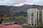 Apartament cu 3 camere de vanzare in Brasov, cartier Noua - 11