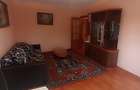 Apartament 2 camere Nicolina, ETAJ 1, investitia ideala - 8