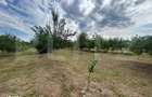 Teren intravilan, 6796 mp, zona Crangurile de Jos - 8