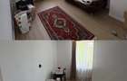Apartament 2 camere de vanzare Vulcan, zona Penny Market - 4