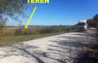 Teren Tasad 3 164 mp pt casa vacanta - 4