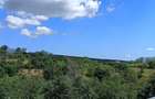 Teren de 2500 mp, în Dealu Cucului - 4
