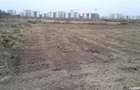 Teren 1000 mp Baneasa Aleea Teisani - 6